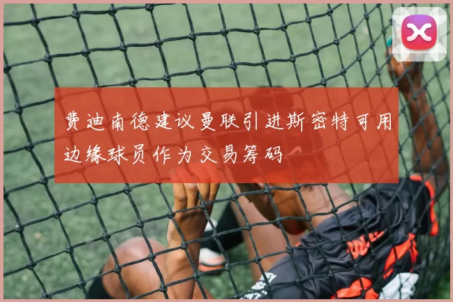 费迪南德建议曼联引进斯密特可用边缘球员作为交易筹码